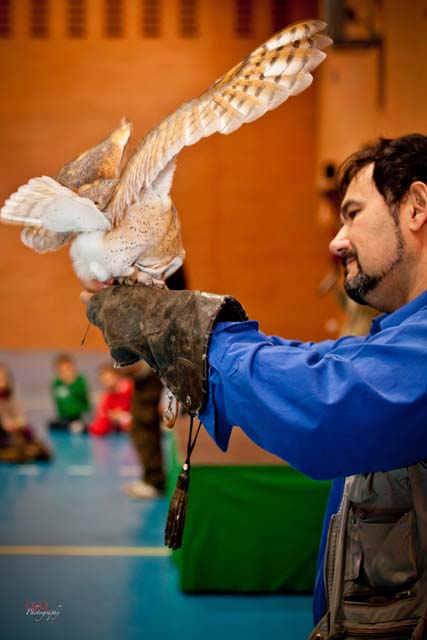 Semana Ciencias en Los Tilos